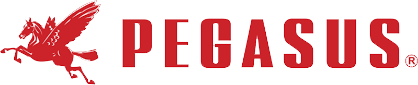 Pegasus